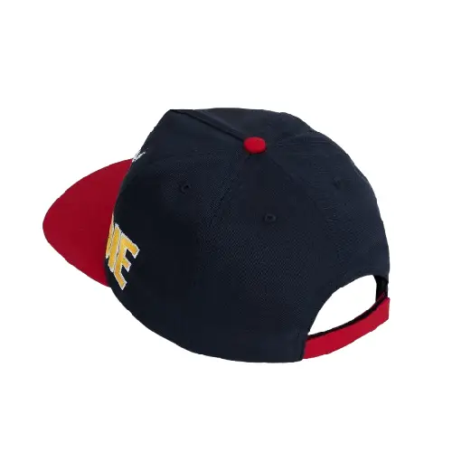 HMD GWINNETT HAT Back